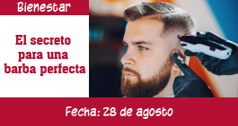 images/banner--barba-ag.jpg