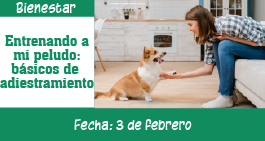 images/banner-adiestramiento-ag.jpg