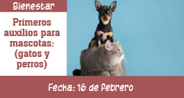 images/banner-auxiliosmascotas-ag.jpg