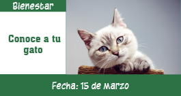 images/banner-gatos-ag1.jpg