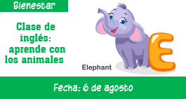 images/banner-ingles-ag.jpg