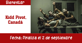 images/banner-kiddpivot-ag.jpg