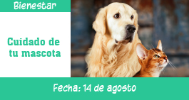 images/banner-mascotas-ag1.jpg