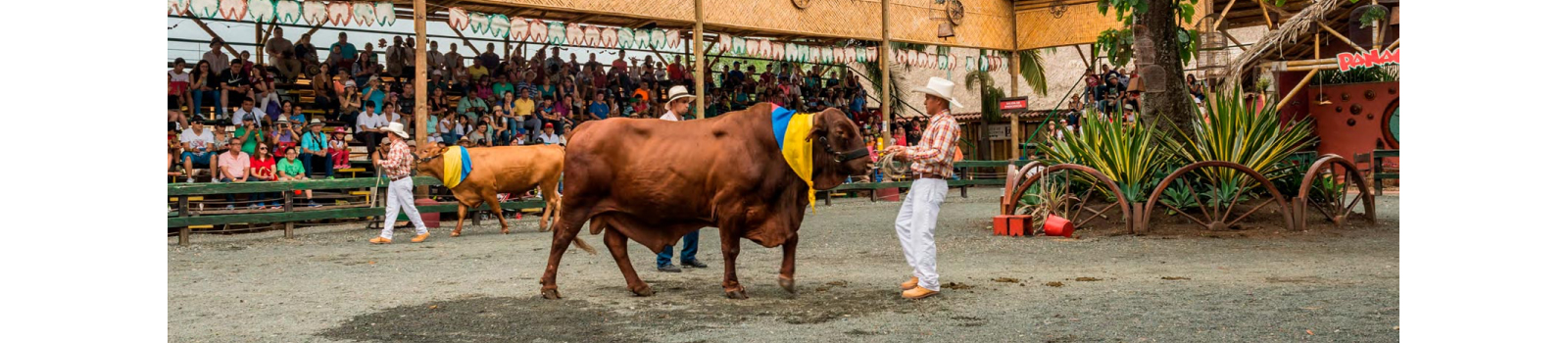 QUINDÍO TURÍSTICO