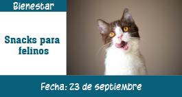 images/banner-snacksfelinos-ag.jpg