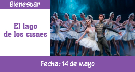 images/el-lago-de-los-cisnes-banner-ag1.jpg