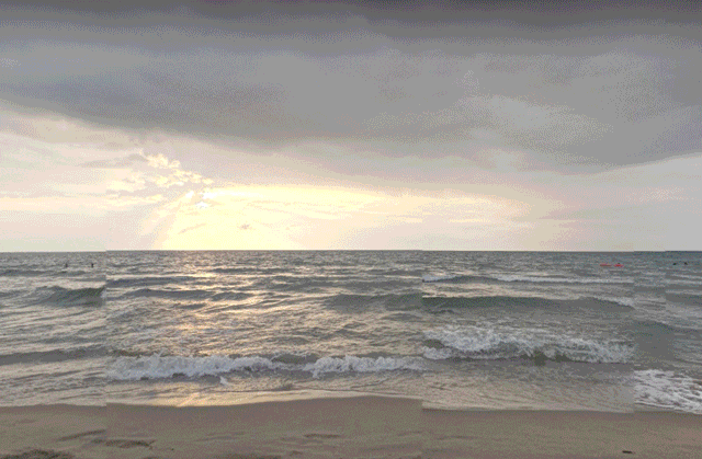 Gif-Manglar-2